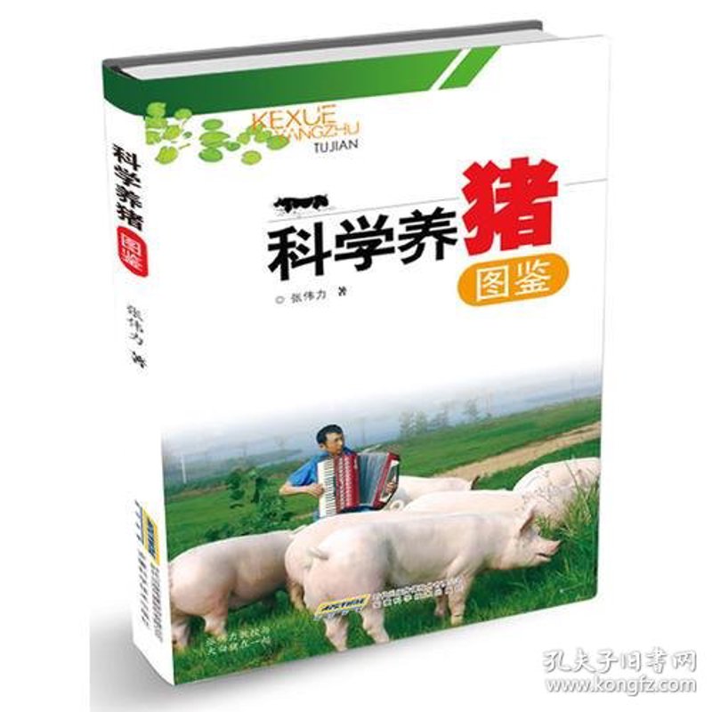 怀宁养殖场:产业发展的缩影与未来展望